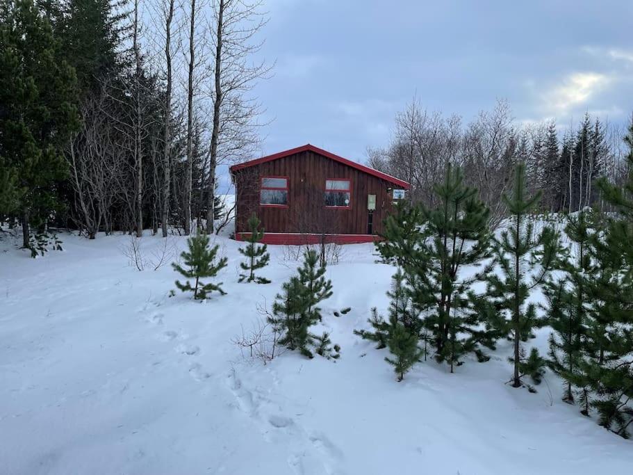 Lakeview Cabin Near Kirkjubæjarklaustur Dış mekan fotoğraf